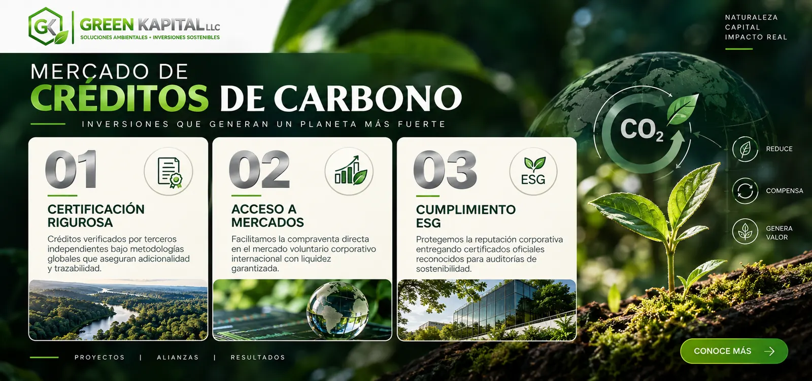 Mercado de créditos de carbono: certificación rigurosa, acceso a mercados y cumplimiento ESG